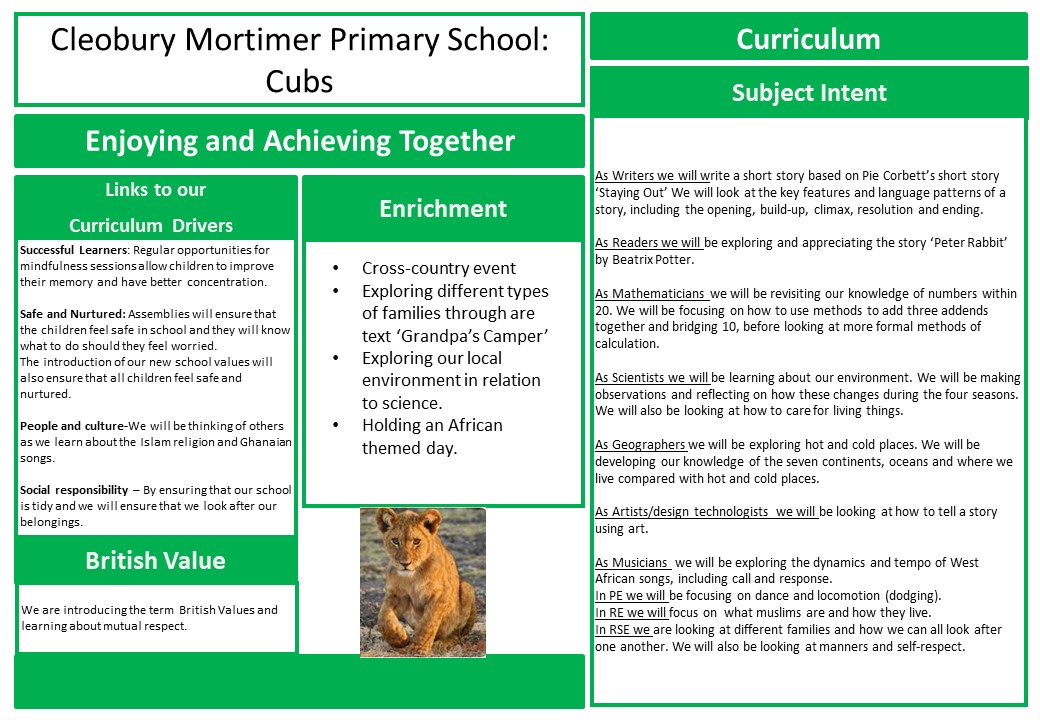 Cub Class medium term plan