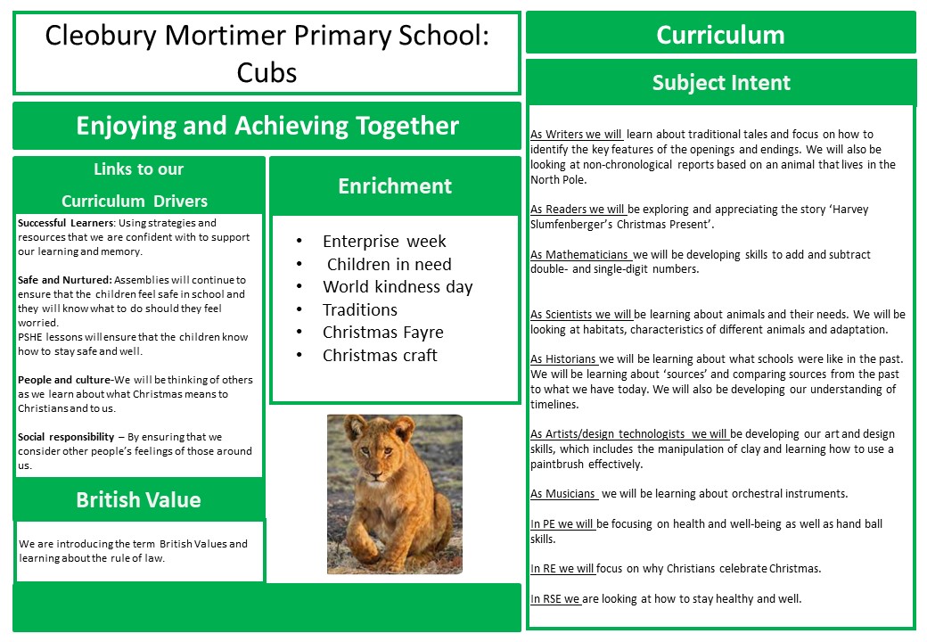 Autumn 2 medium term plan