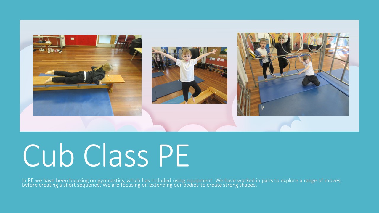 Gymnastics in Cub Class!