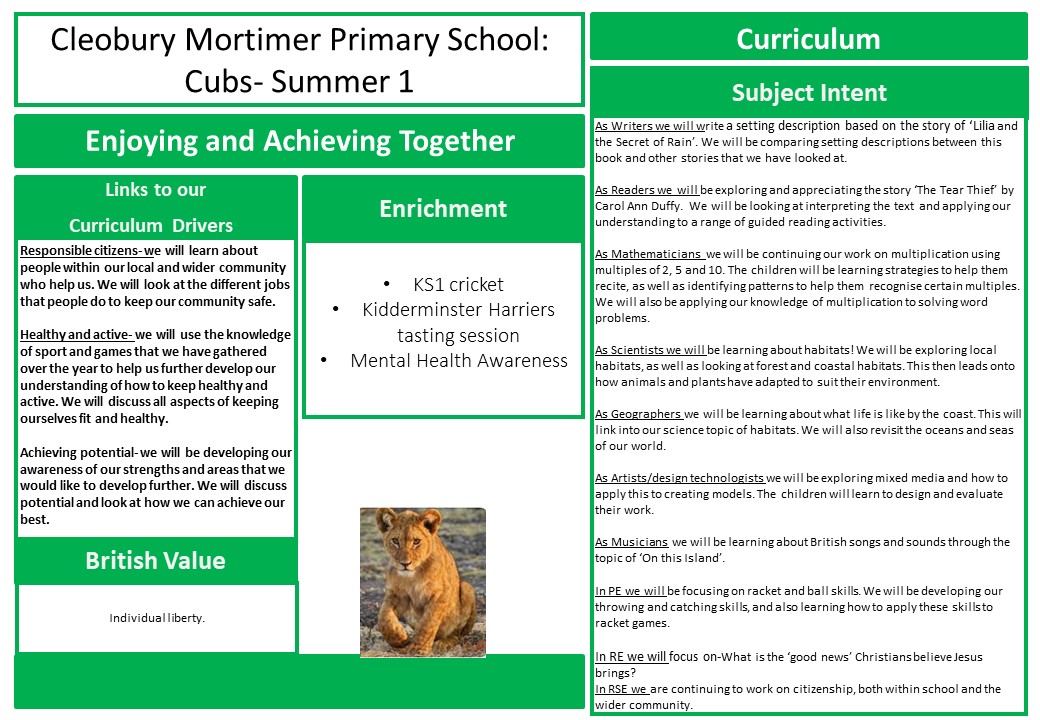 Summer 1 Medium Term Plan